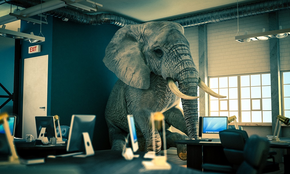 Floating sales rubber elephants